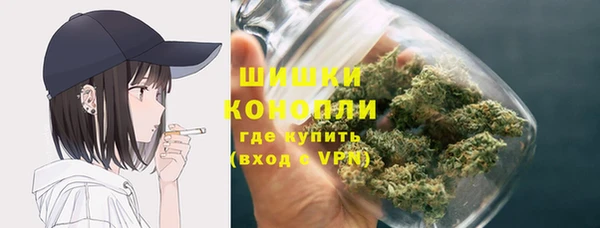 шишки Верхний Тагил