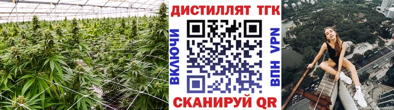 наркота  Лукоянов  ТГК концентрат 