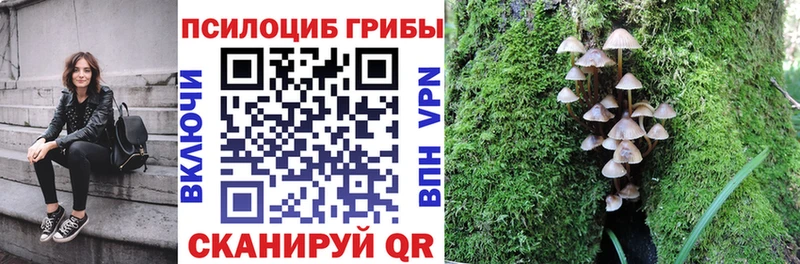 блэк спрут вход Лукоянов Псилоцибиновые грибы Psilocybine cubensis купить наркотик